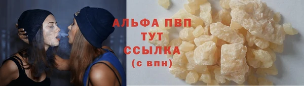 прущие грибы Баксан