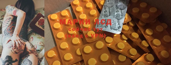 прущие грибы Баксан